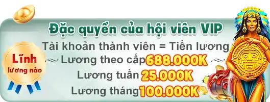 Ưu đãi đặc biệt tại TOPVIP